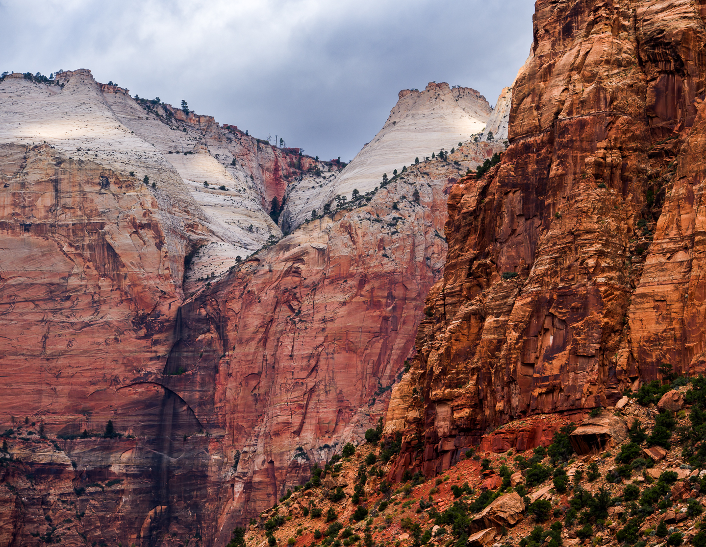 2nd PrizeMulti-Scape In Class 3 By John Hoyt For Zion National Park JAN-2024.jpg